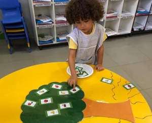 Where Food Grows- Kg1 and Kg2 